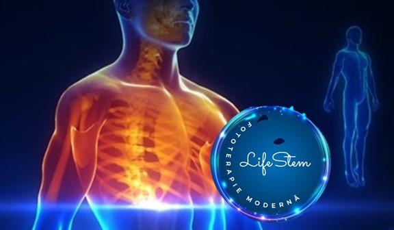 Life Stem